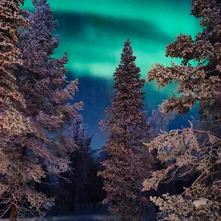 Villa Arctic Trail B - Lapland Escape With Outdoor Hot Tub & Yllaes Passes