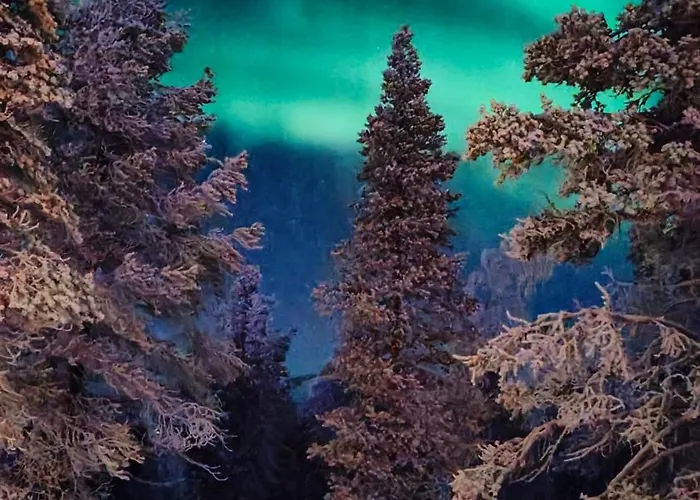 Villa Arctic Trail B - Lapland Escape With Outdoor Hot Tub & Yllaes Passes