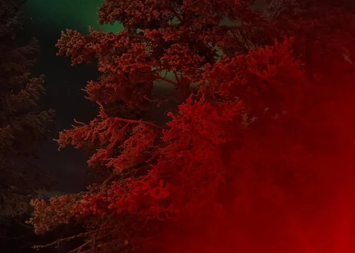 Arctic Trail B - Lapland Escape With Outdoor Hot Tub & Yllaes Passes *